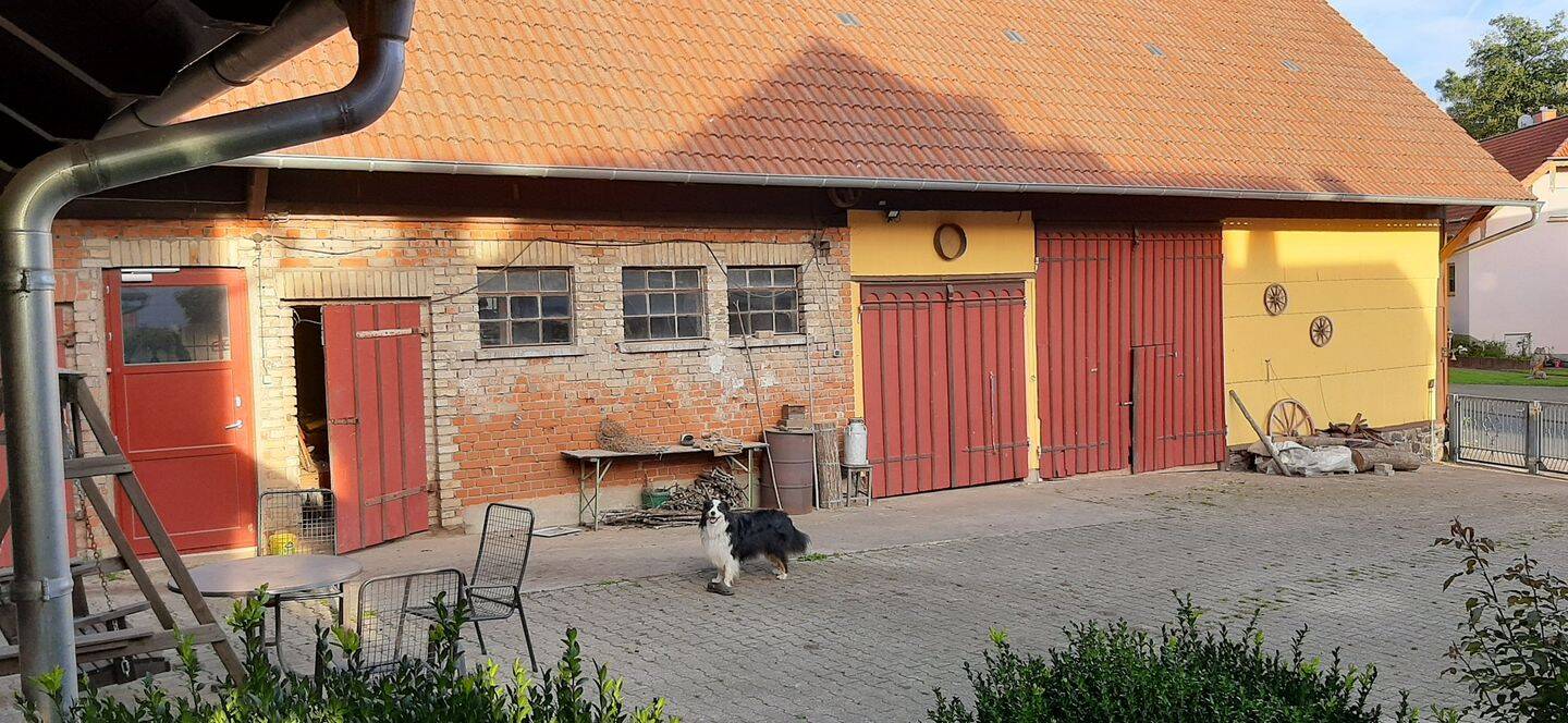 Bild 10
