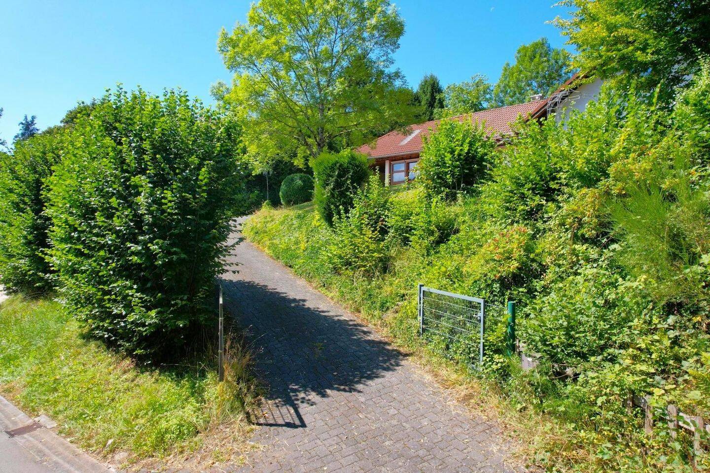 Bild 5