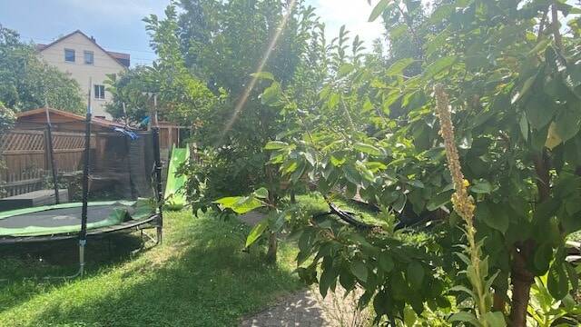 Bild 5