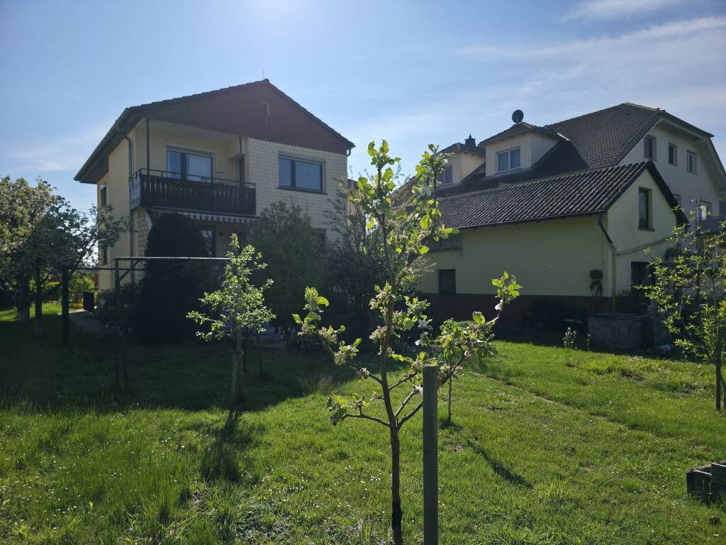 image-59985065