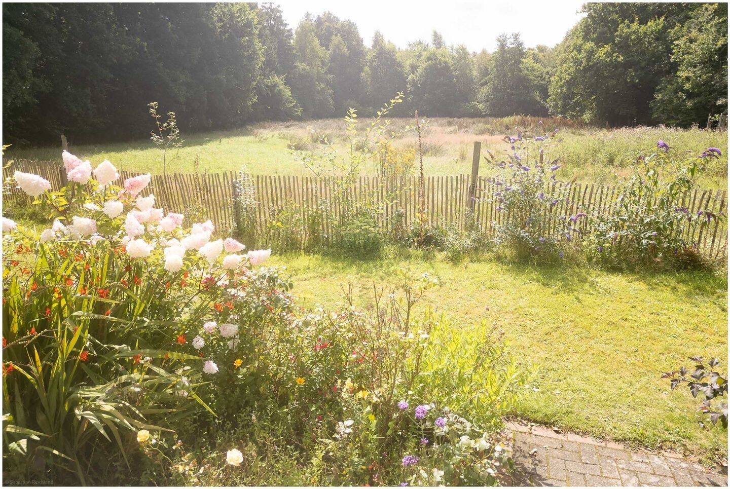 Bild 6