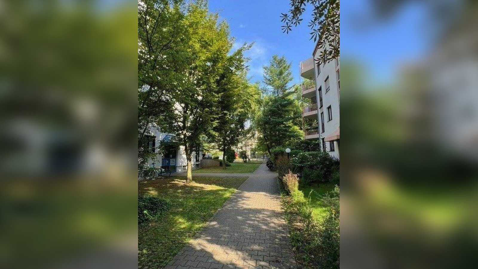 Bild 19