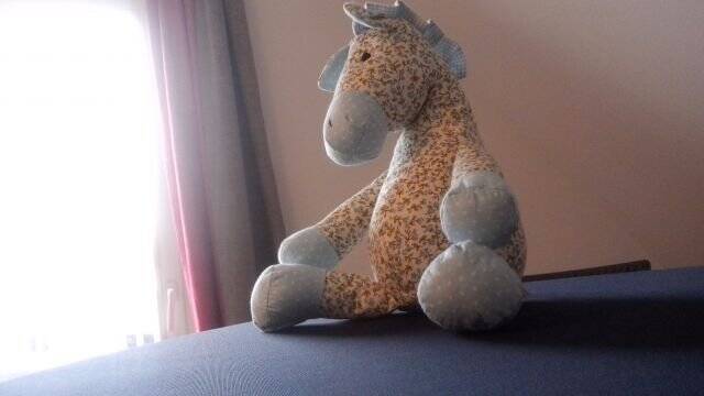 Bild 8