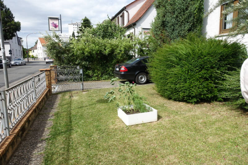 Bild 6