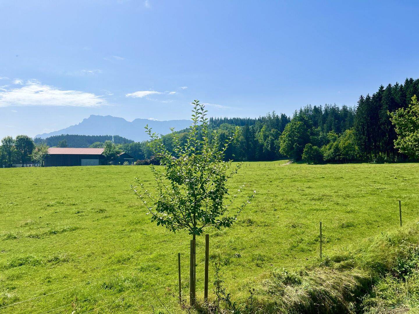 Bild 9
