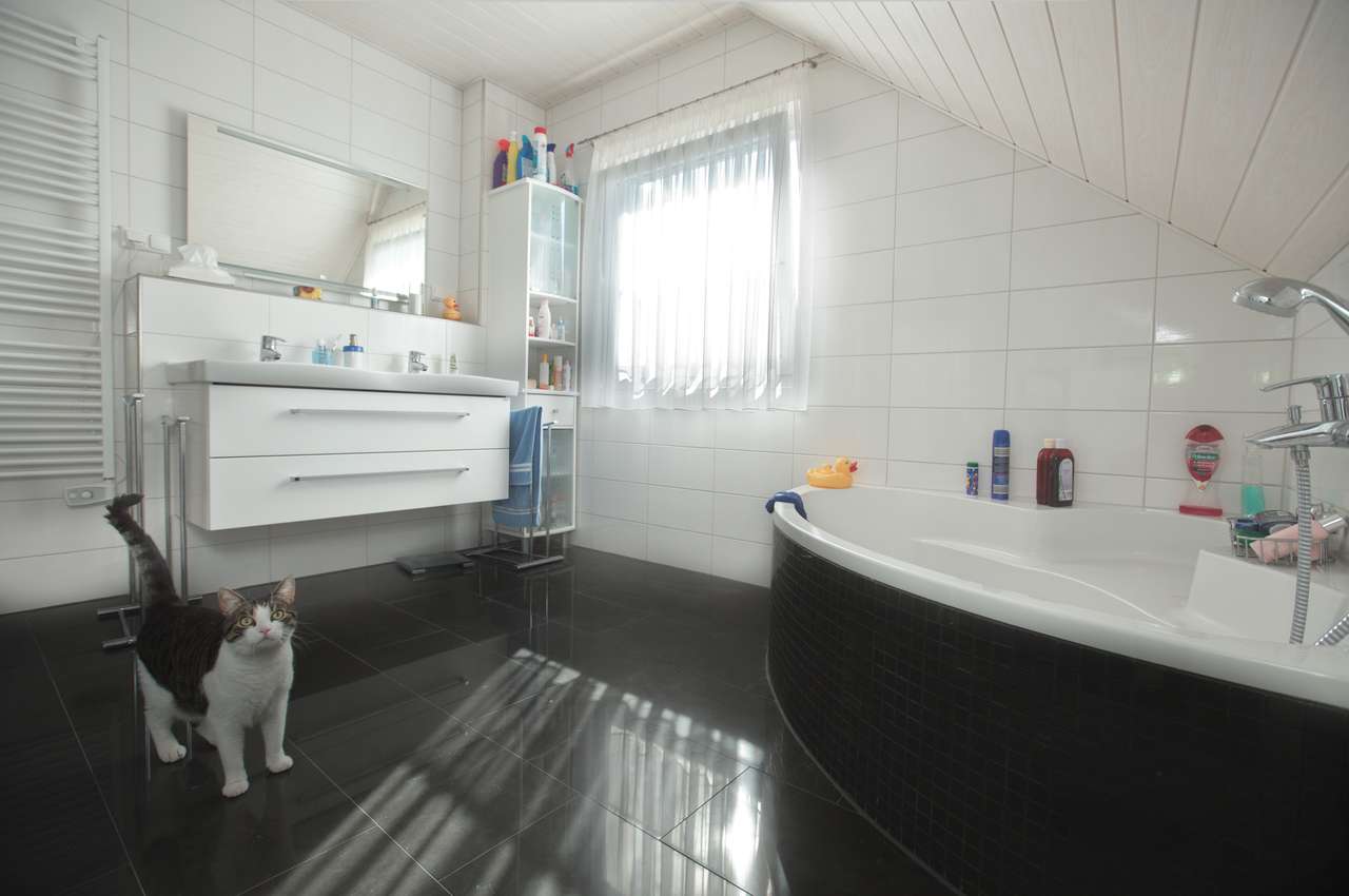 Bild 11