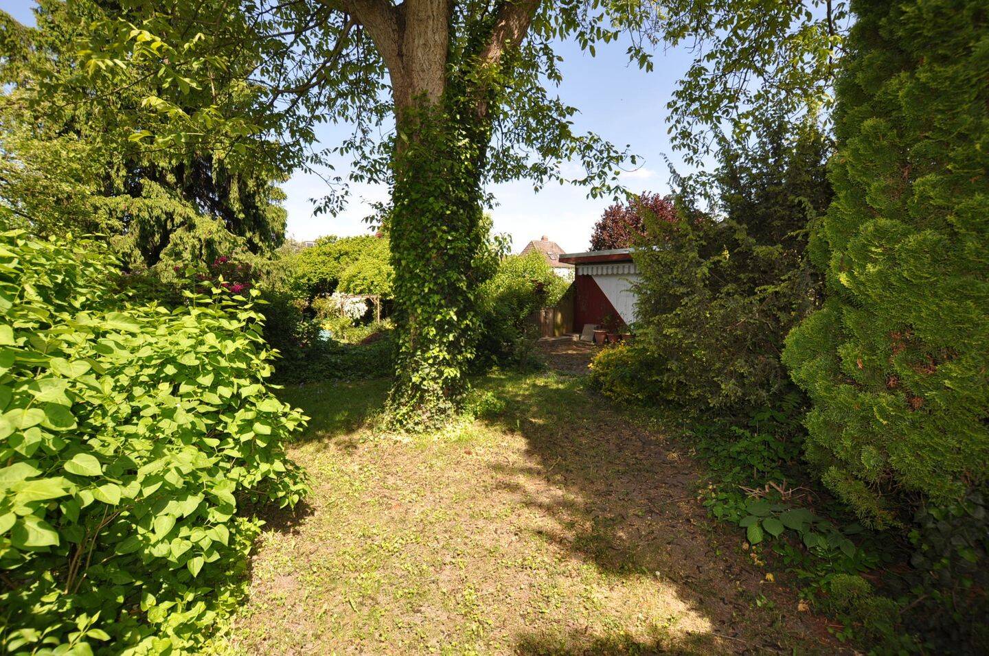 Bild 11