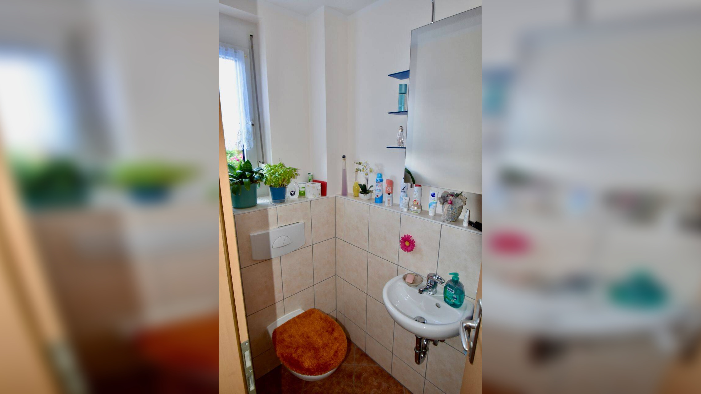 Bild 6