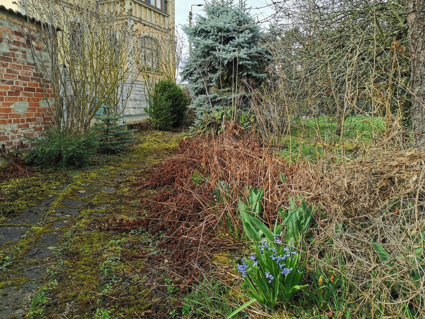Bild 11