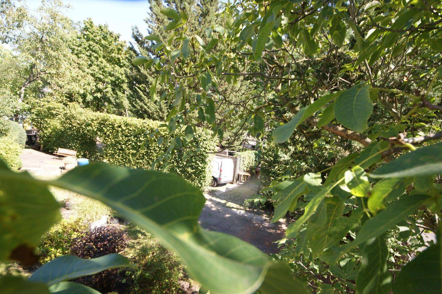 Bild 11