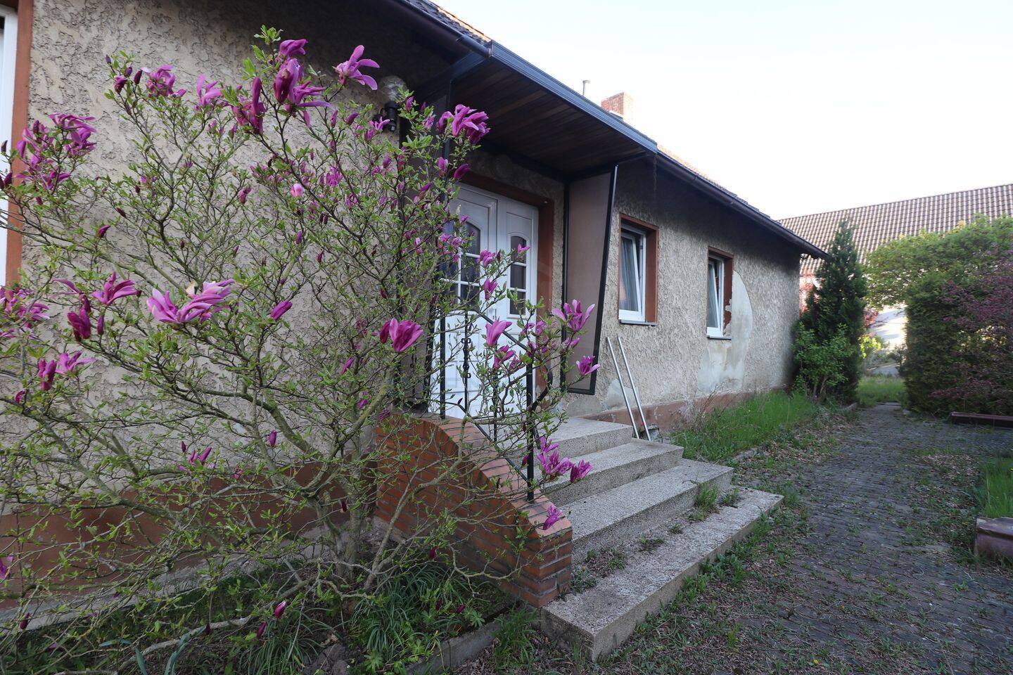 Bild 7