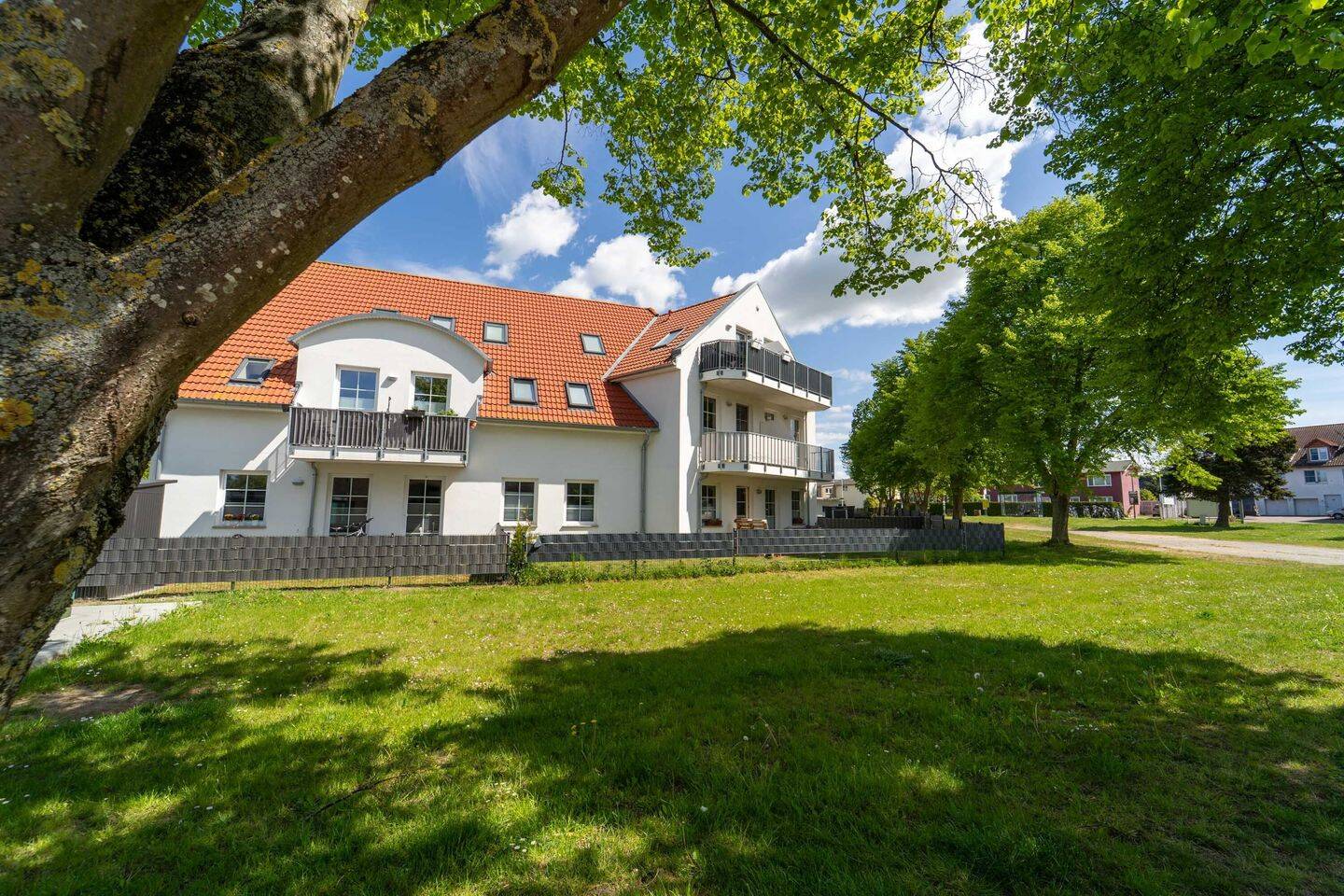 Bild 12