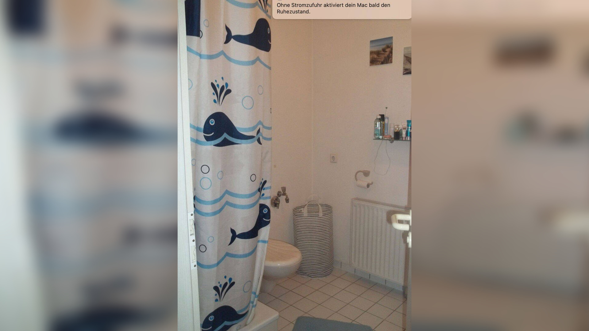 Bild 16