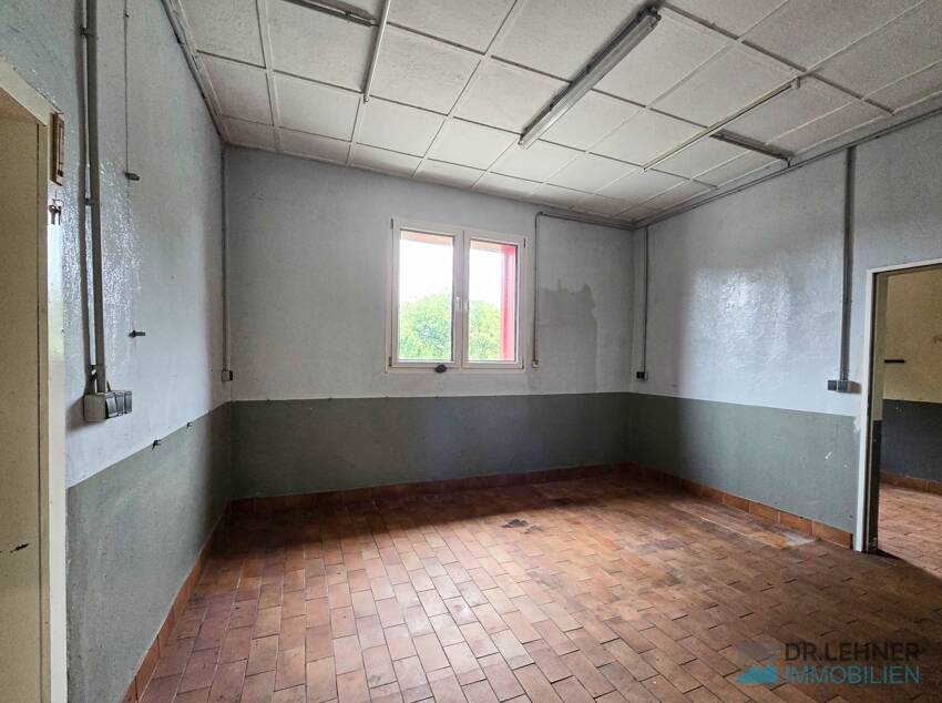 Bild 11