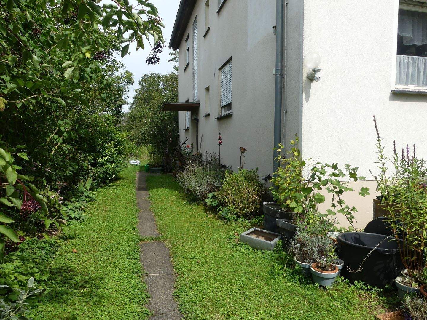 Bild 5