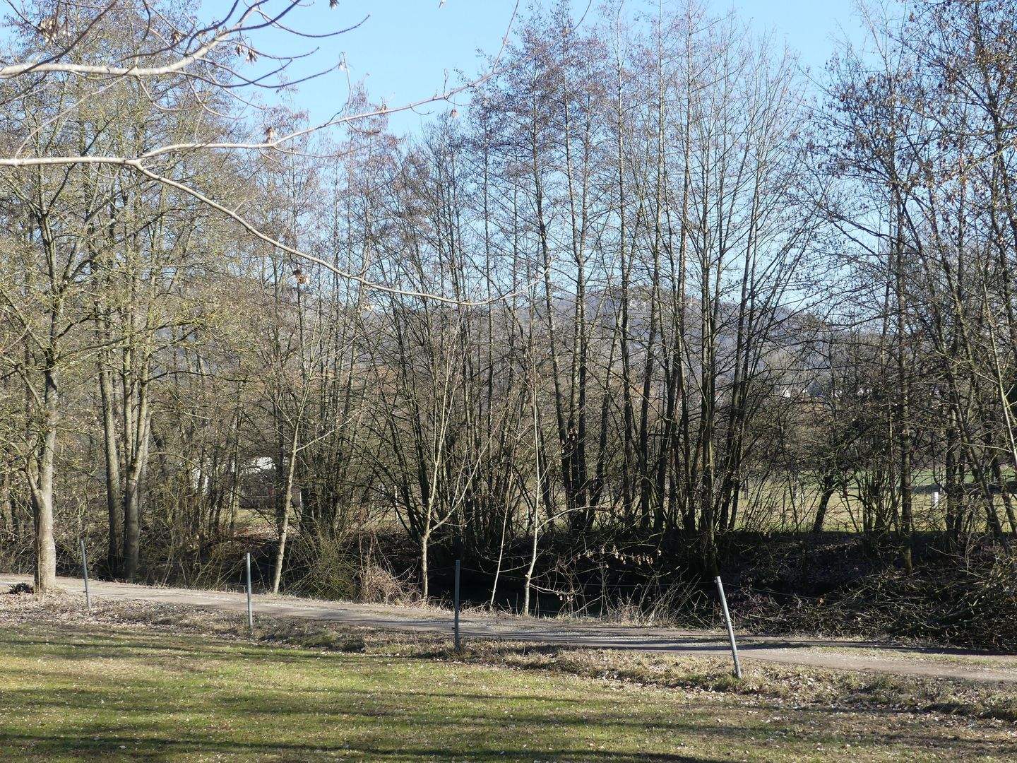 Bild 8