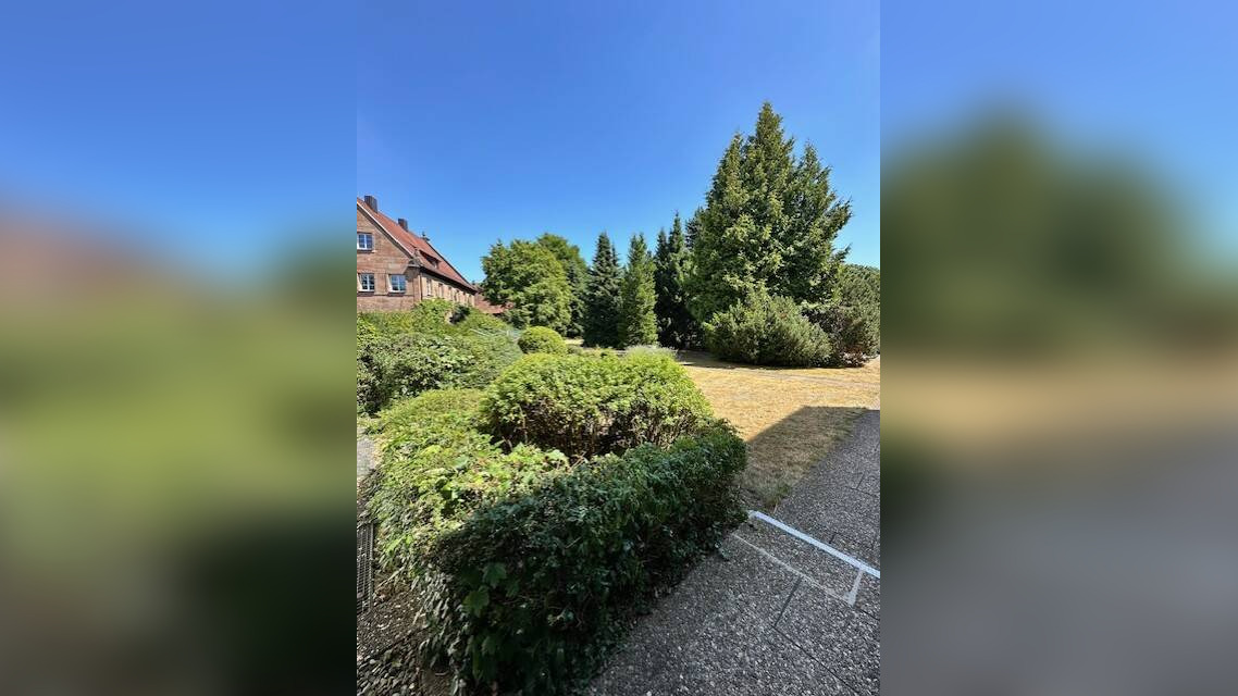 Bild 15