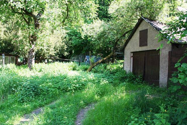 Bild 7