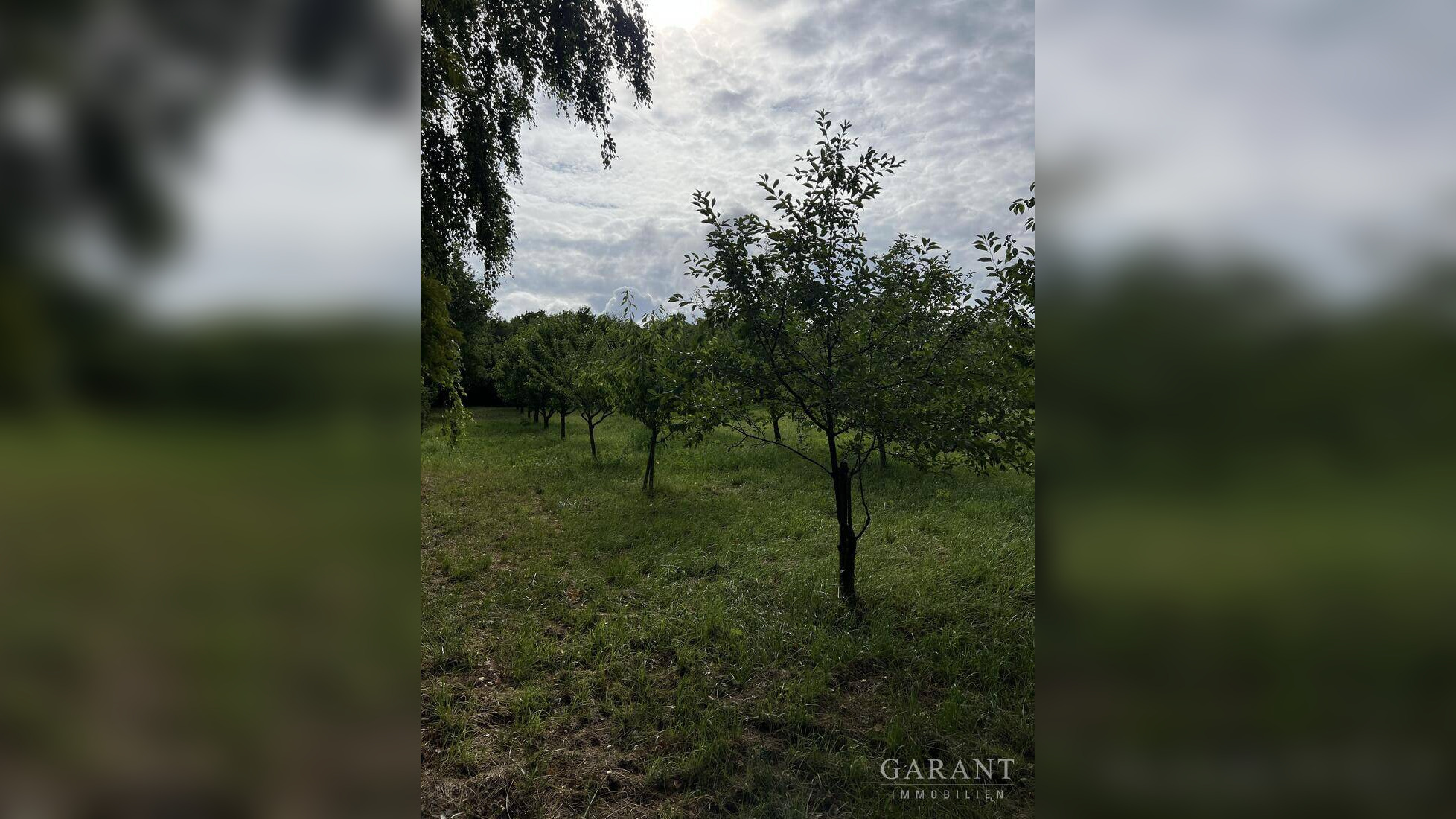 Bild 14