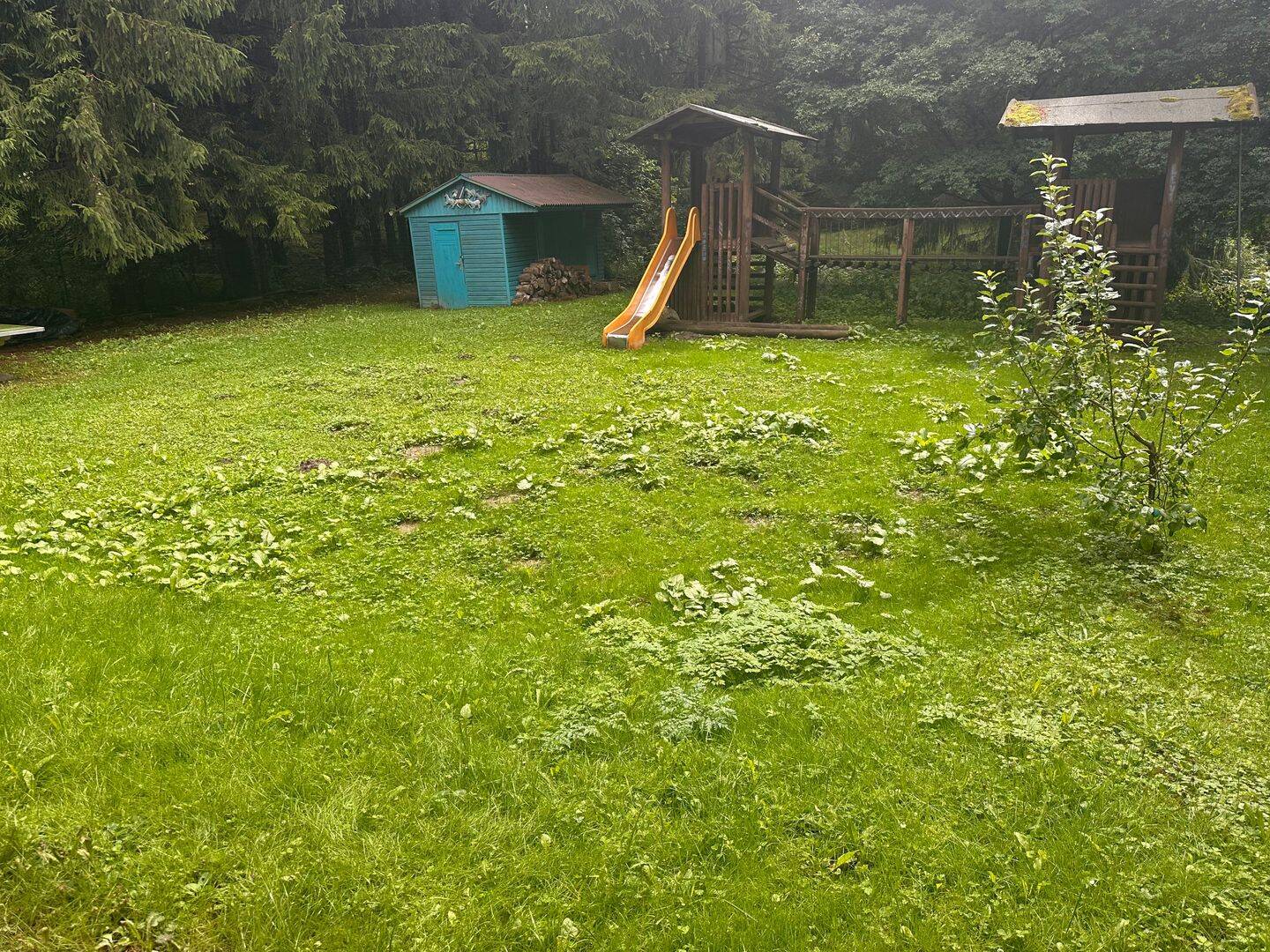 Bild 4