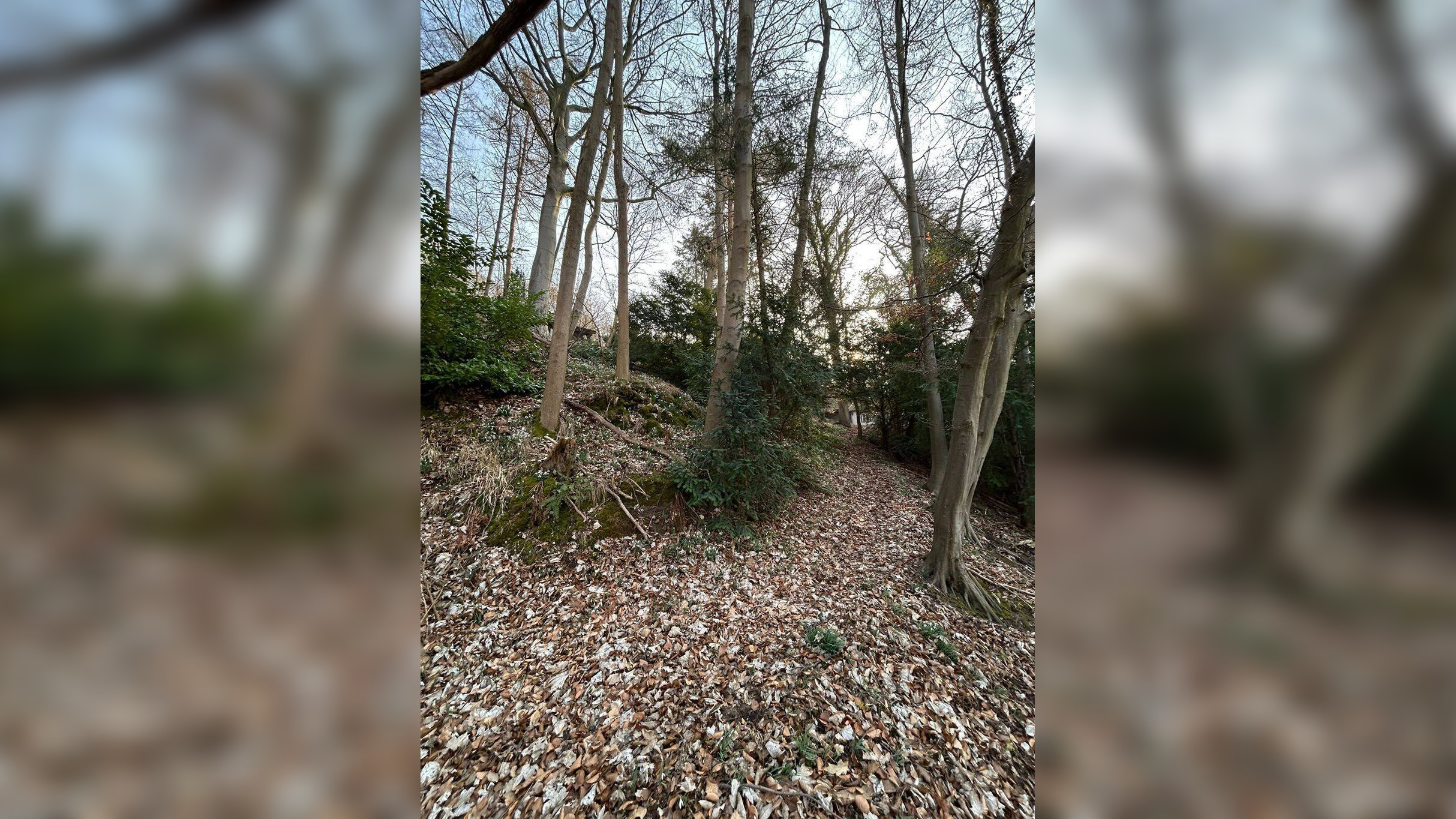 Bild 11