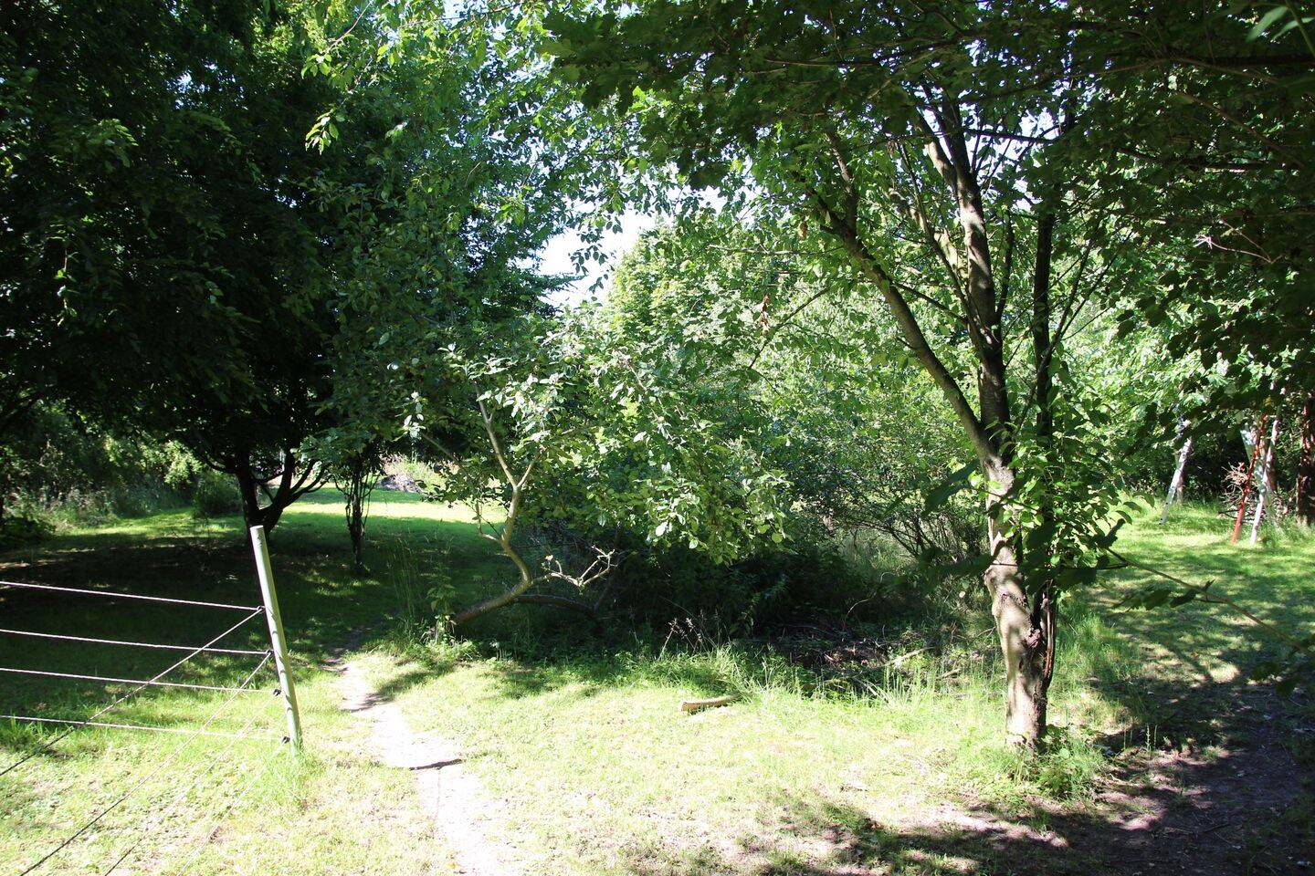 Bild 8