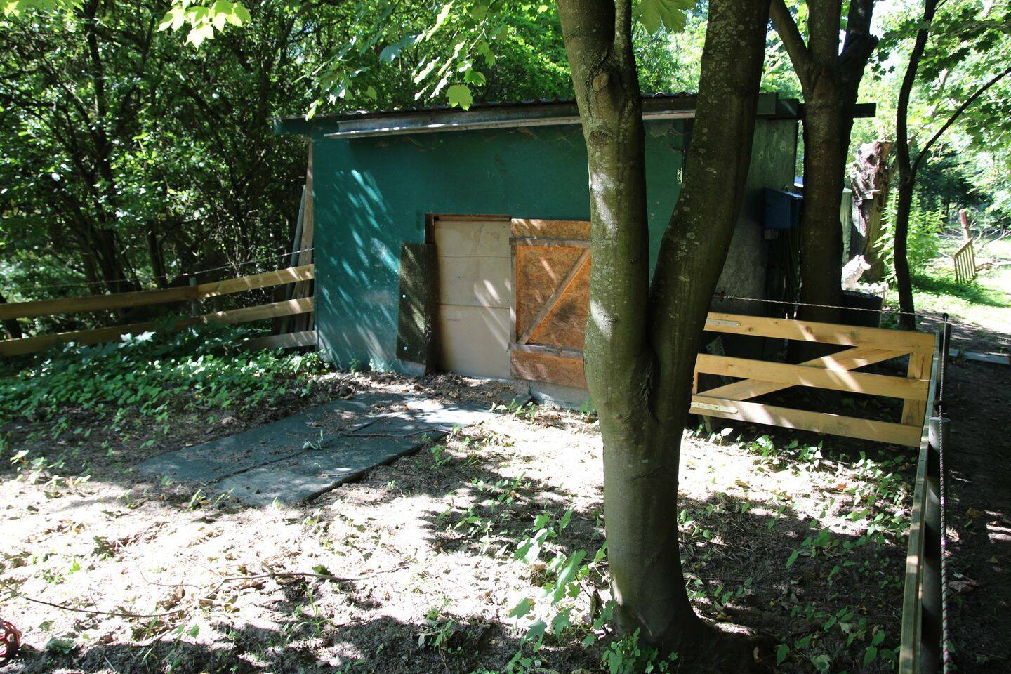 Bild 9