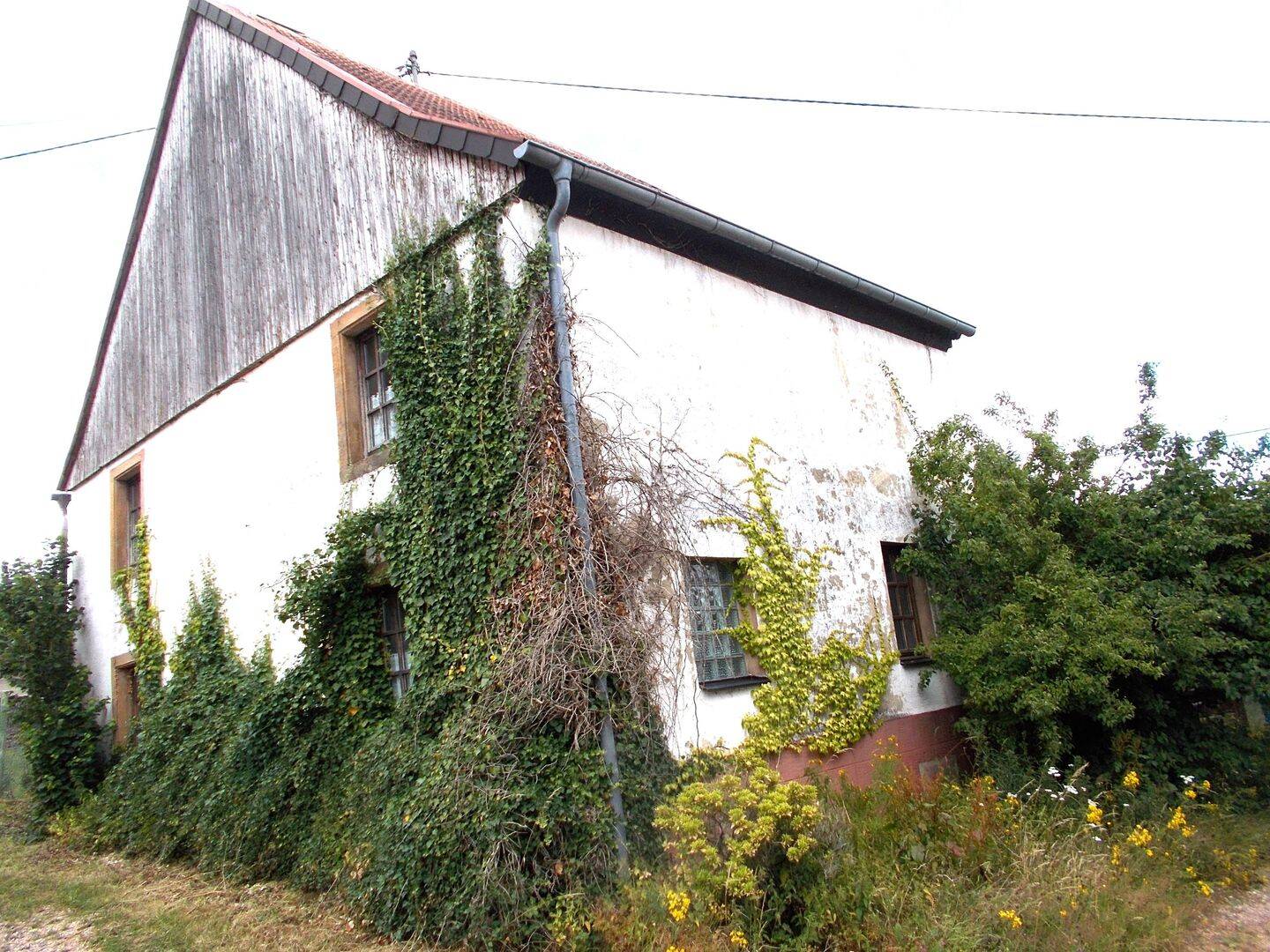 Bild 6