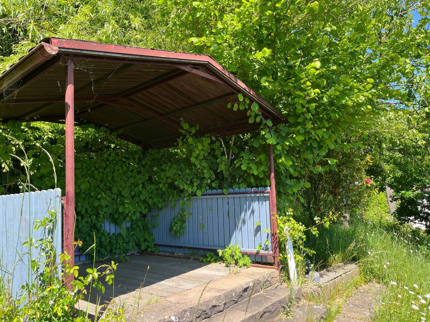 Bild 6