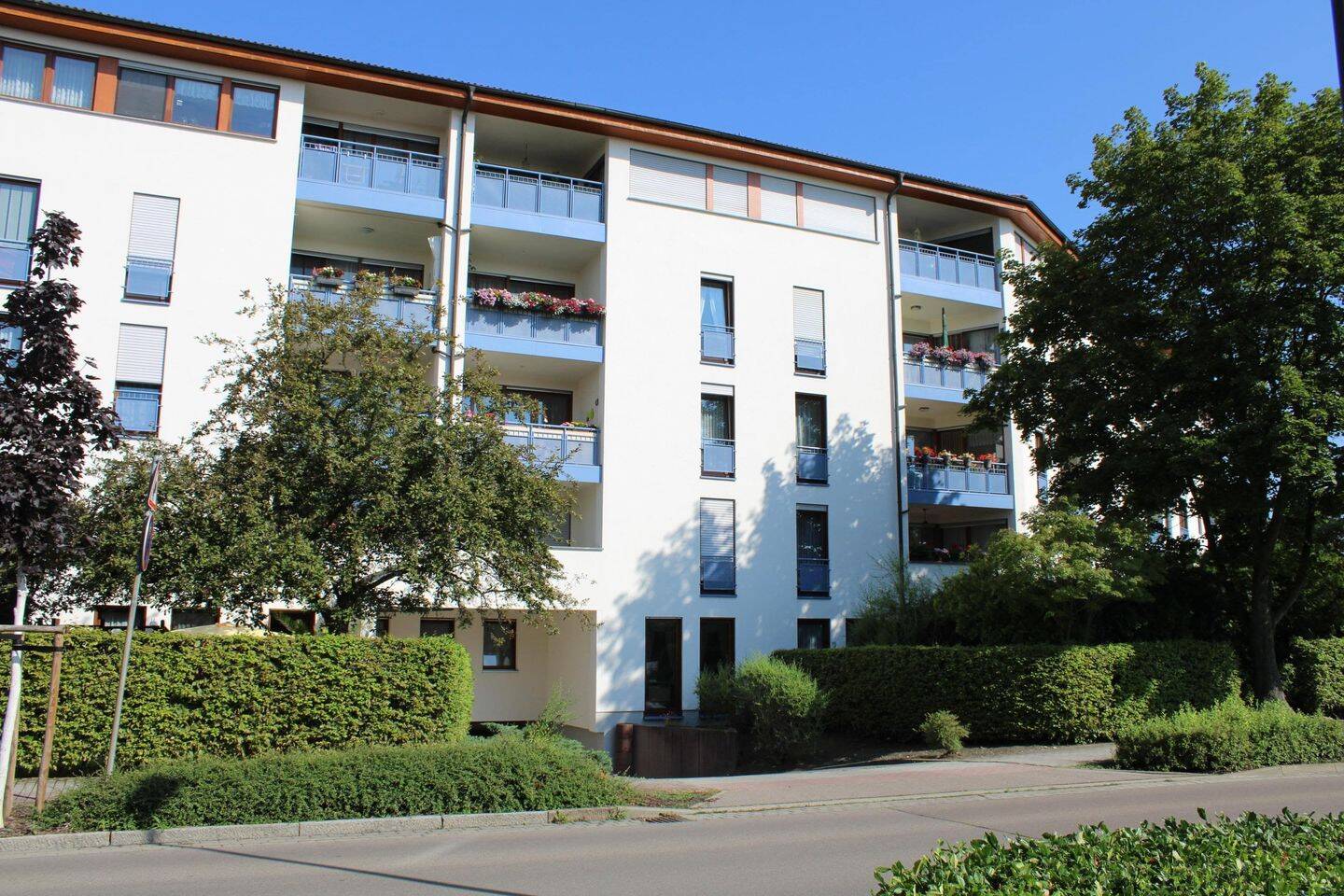 Bild 5