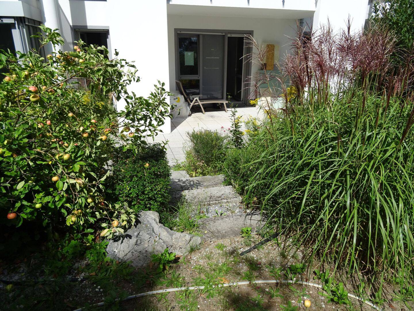 Bild 6