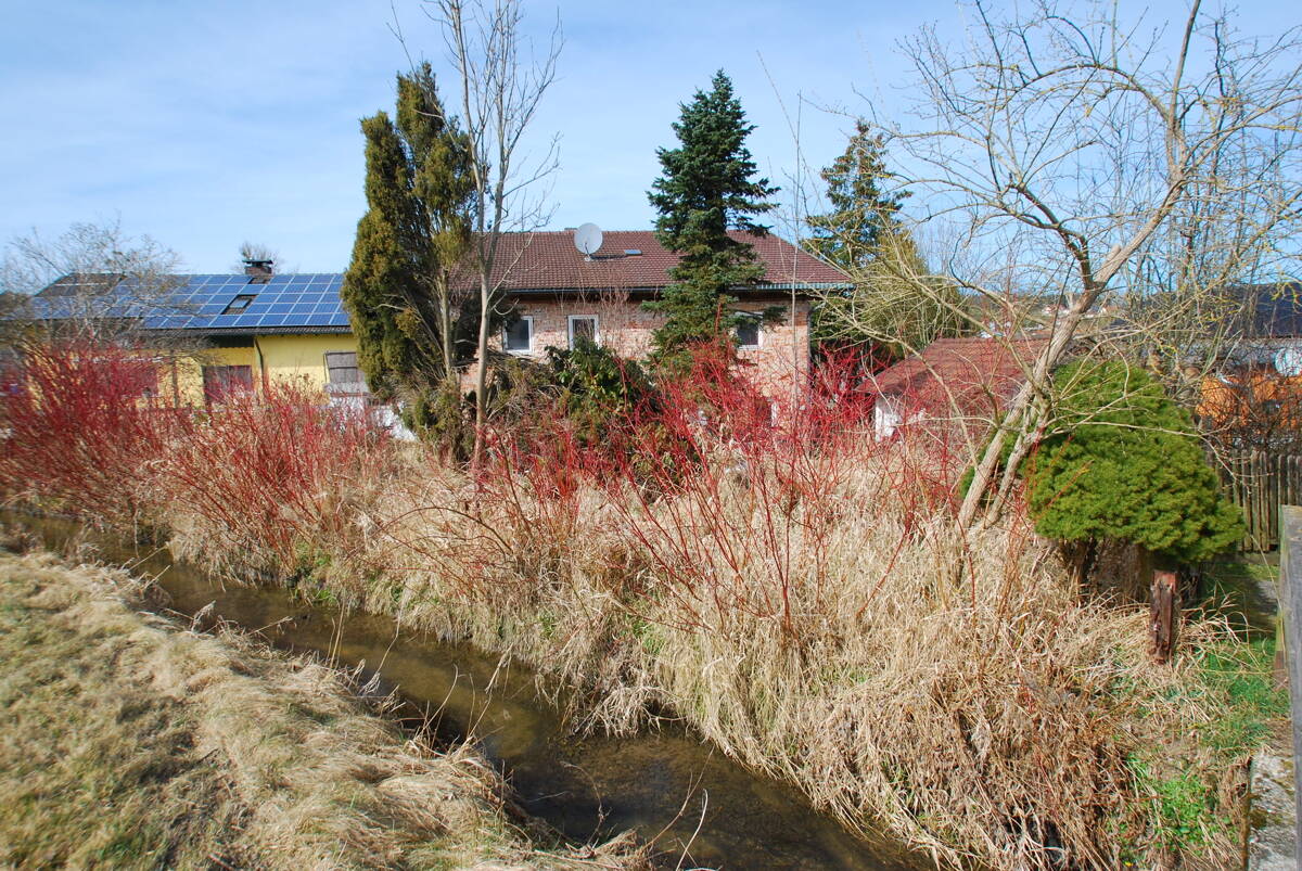 Bild 7