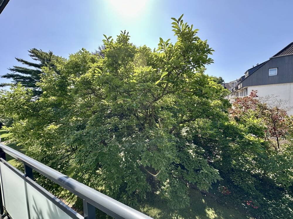 Bild 12