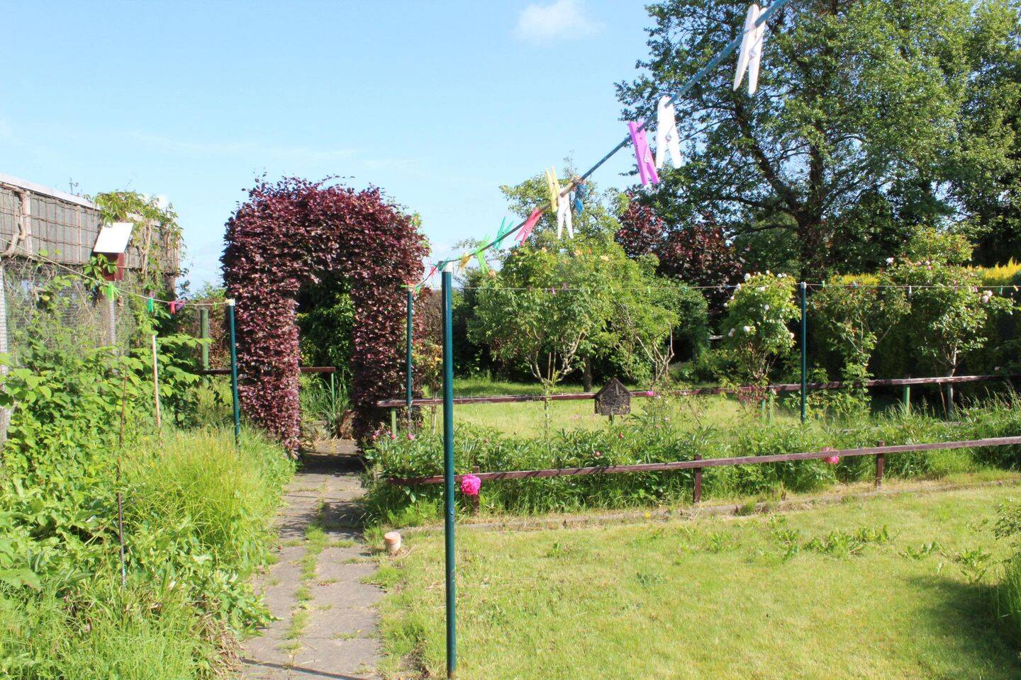 Bild 7