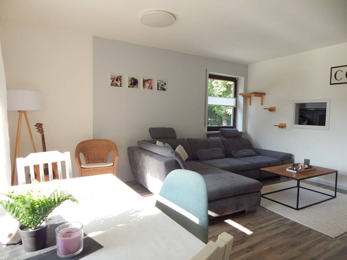 Bild 15