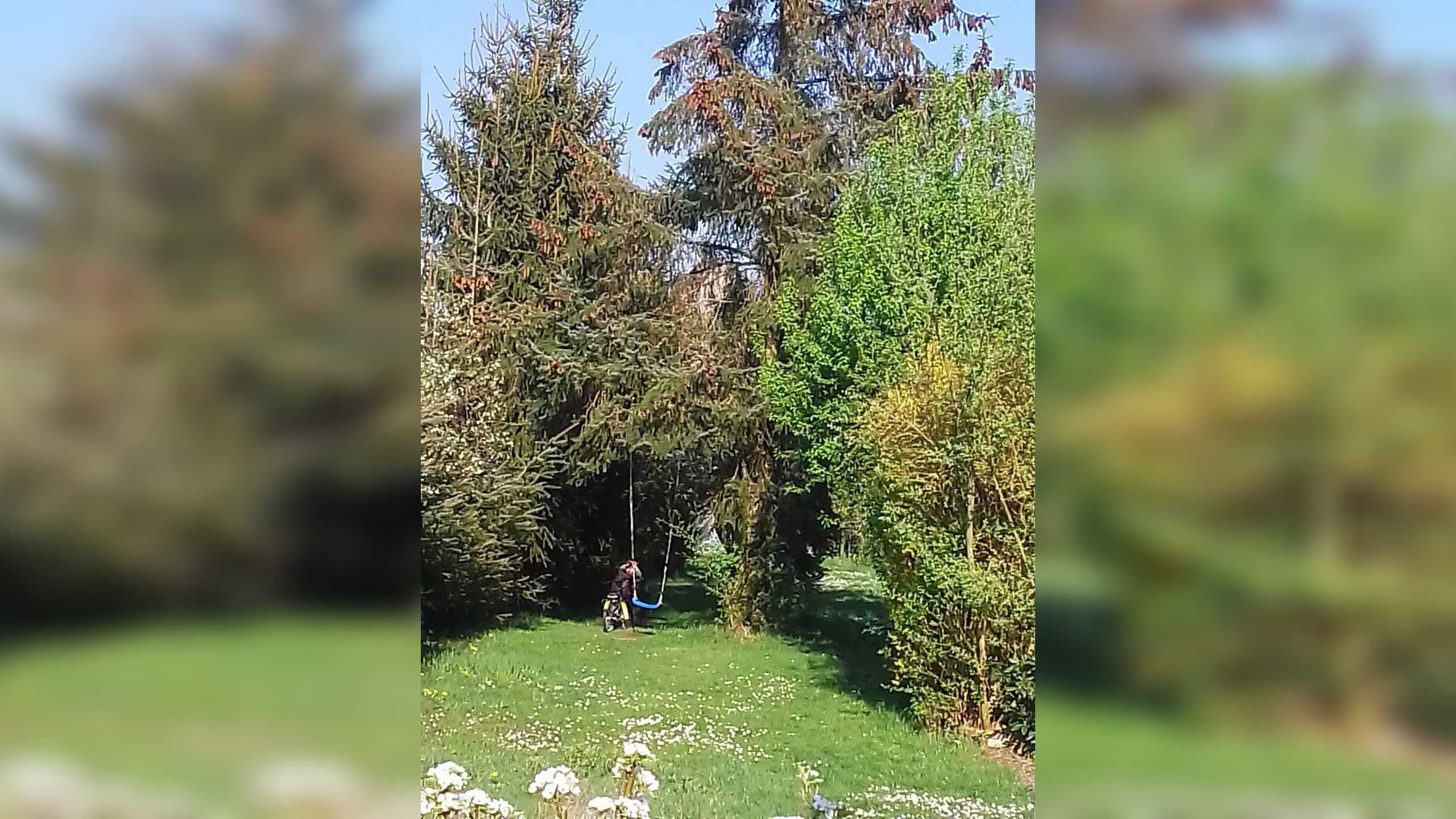 Bild 12