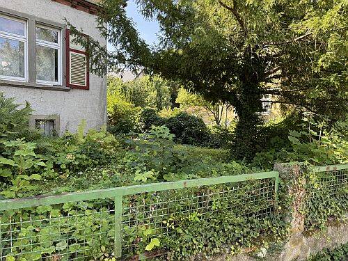 Bild 7