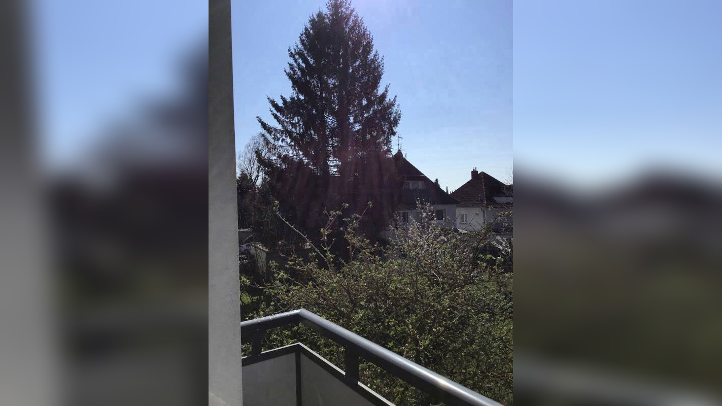 Bild 6