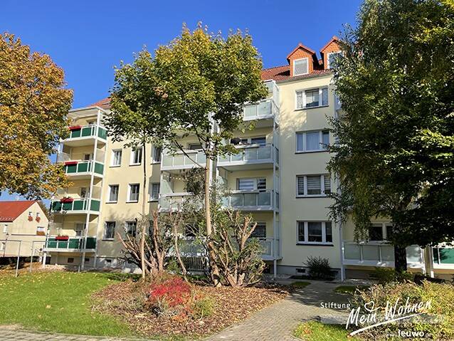 Bild 11