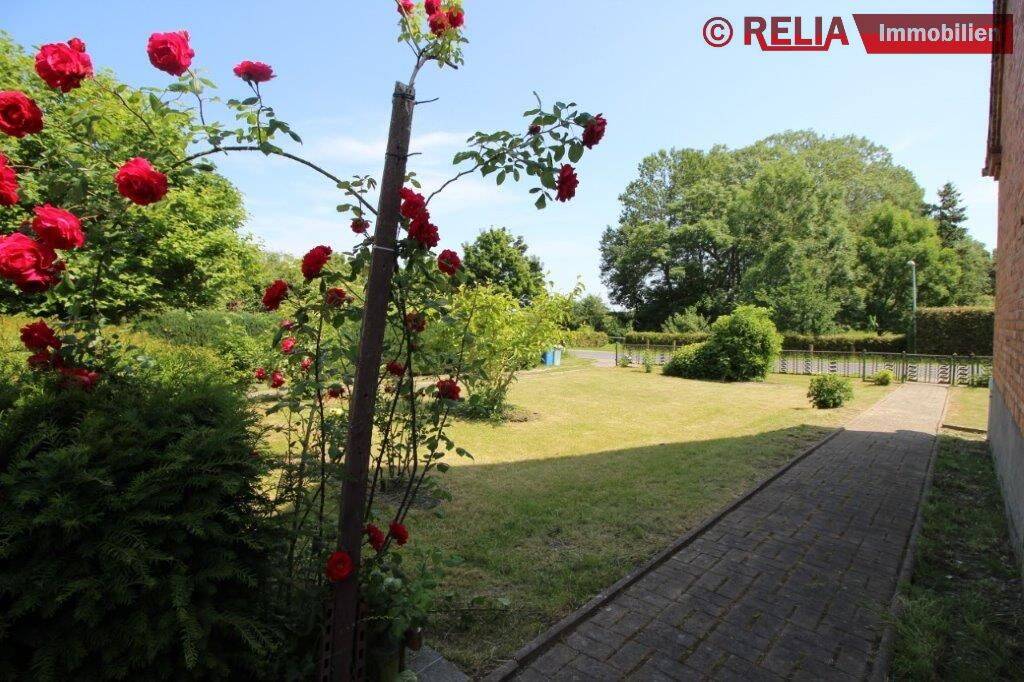 Bild 15
