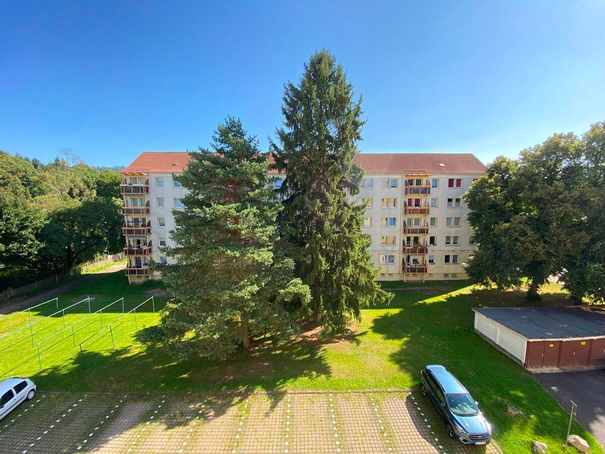 Bild 7