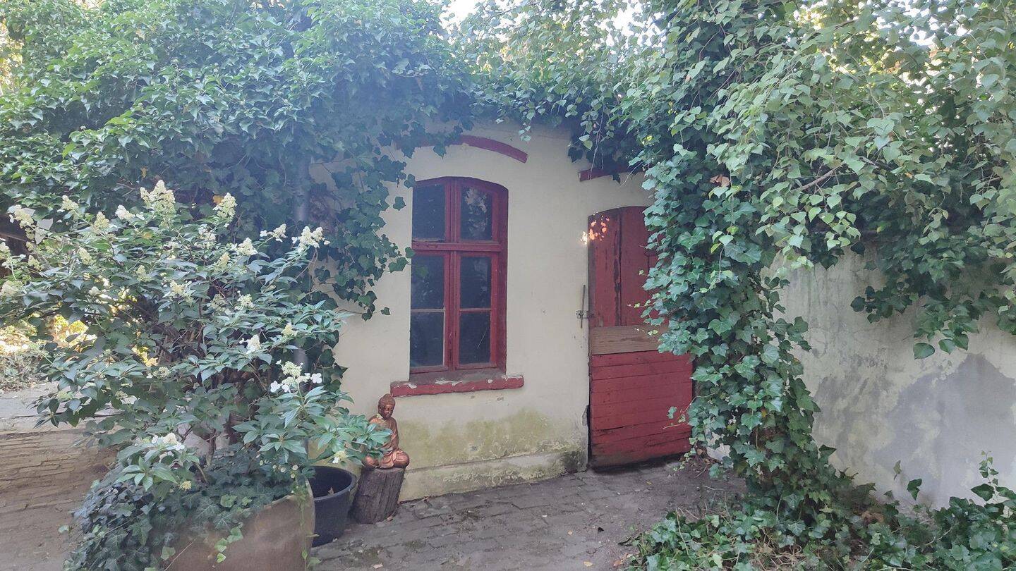 Bild 11