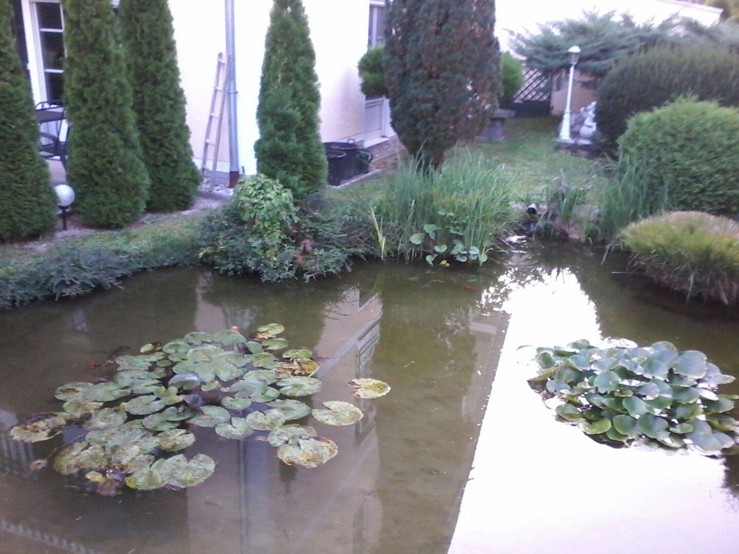 Bild 8