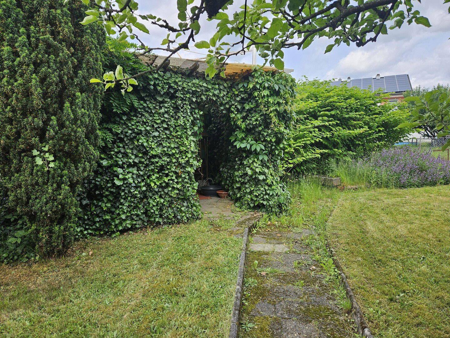 Bild 8