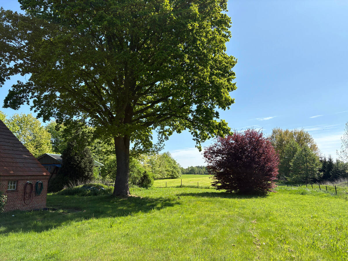 Bild 17