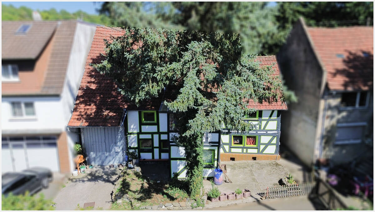Bild 11