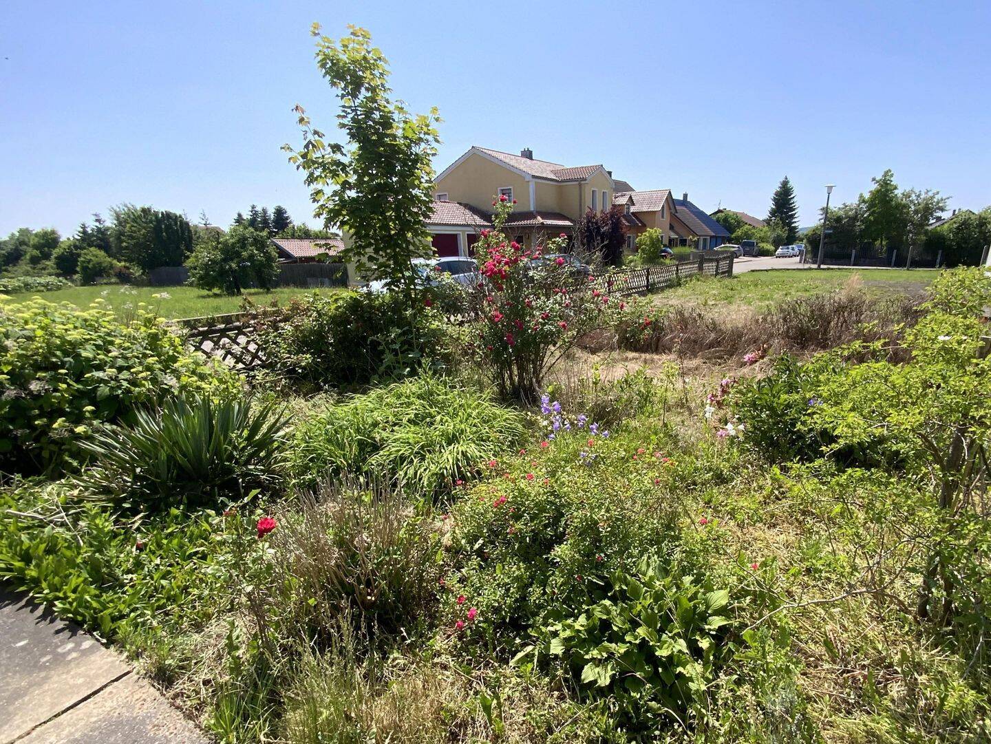 Bild 12