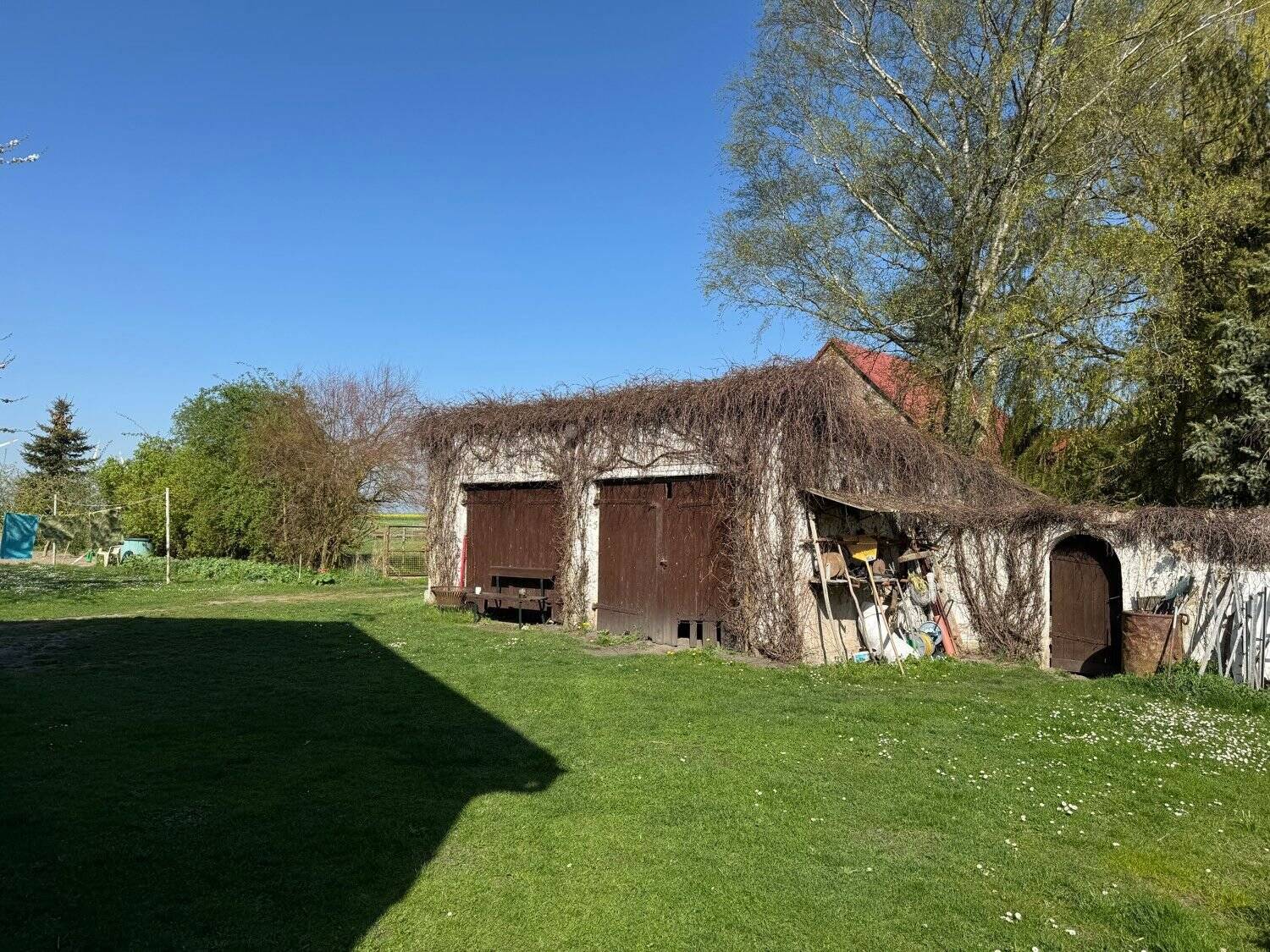 Bild 6