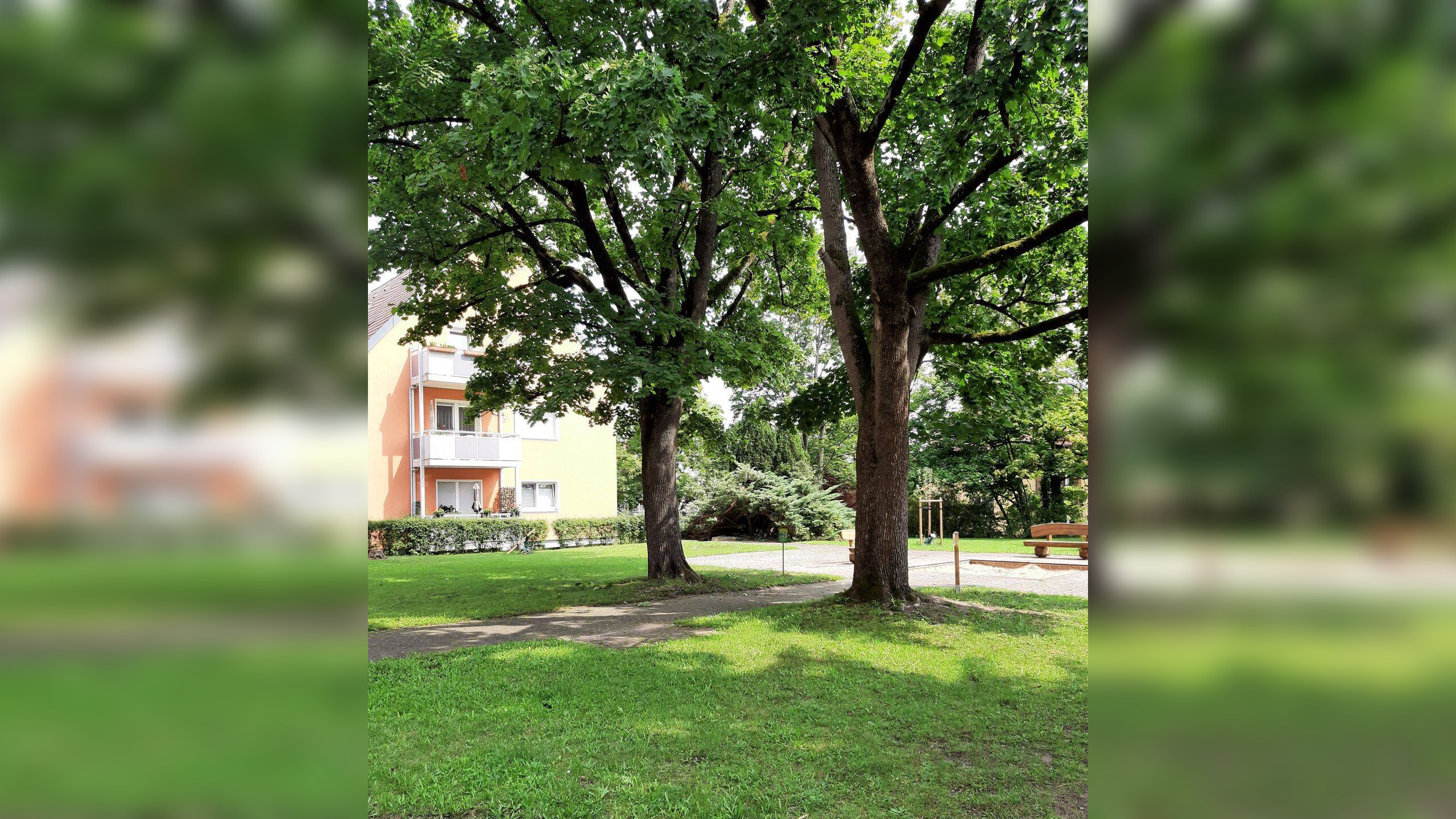 Bild 7