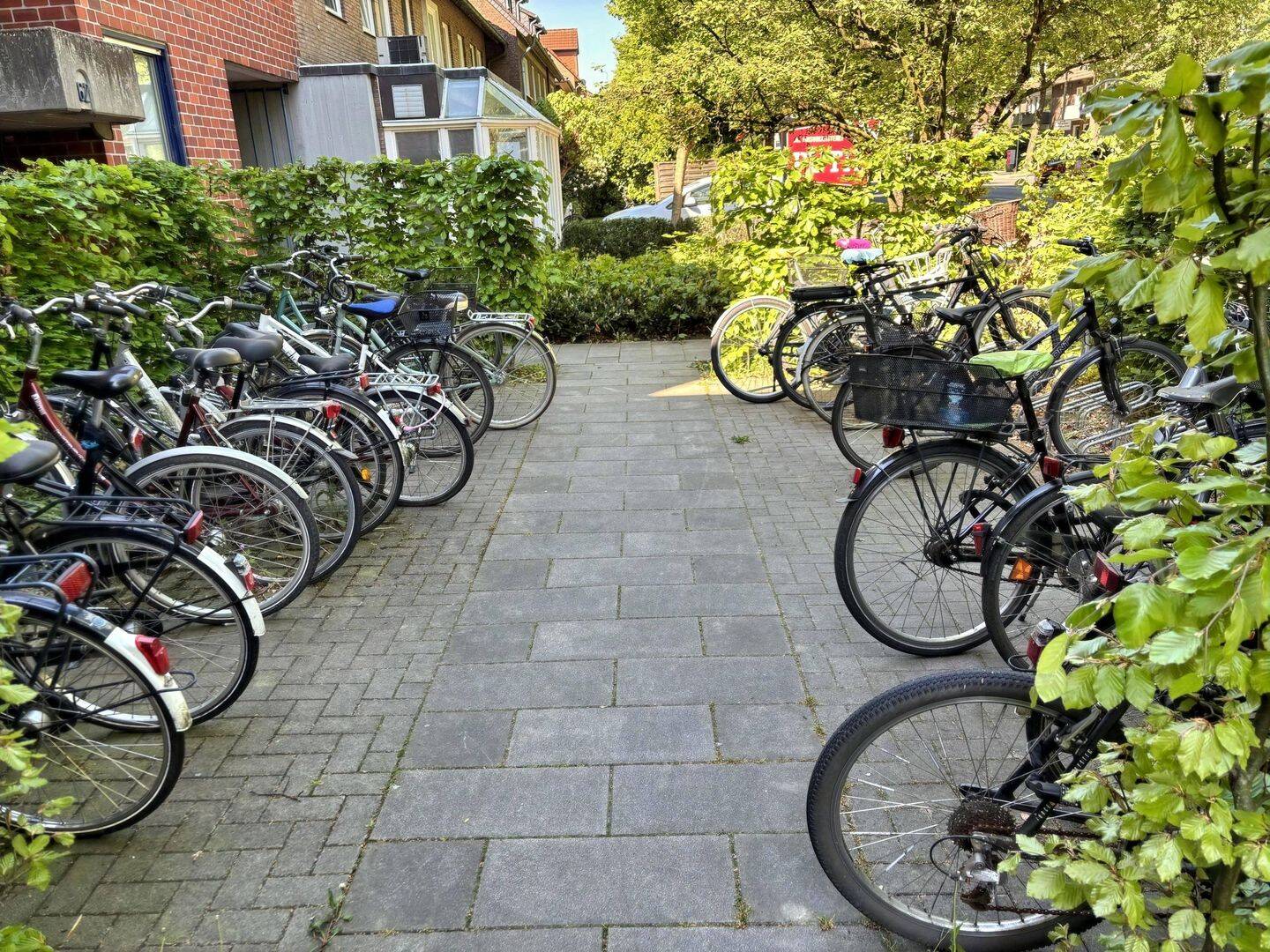 Bild 12